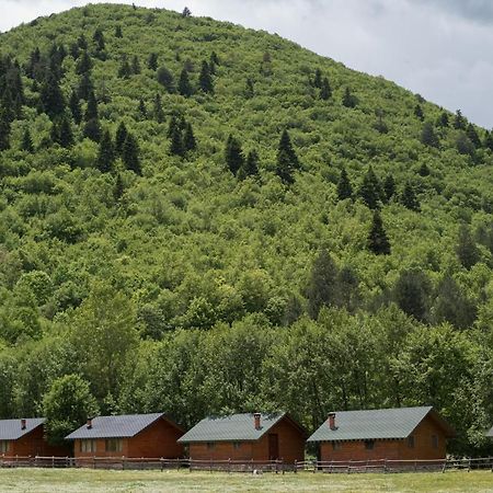 Farma Sotira Otel Leskovik Dış mekan fotoğraf