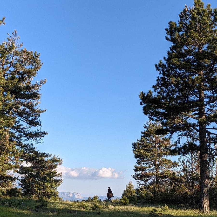 Farma Sotira Otel Leskovik Dış mekan fotoğraf