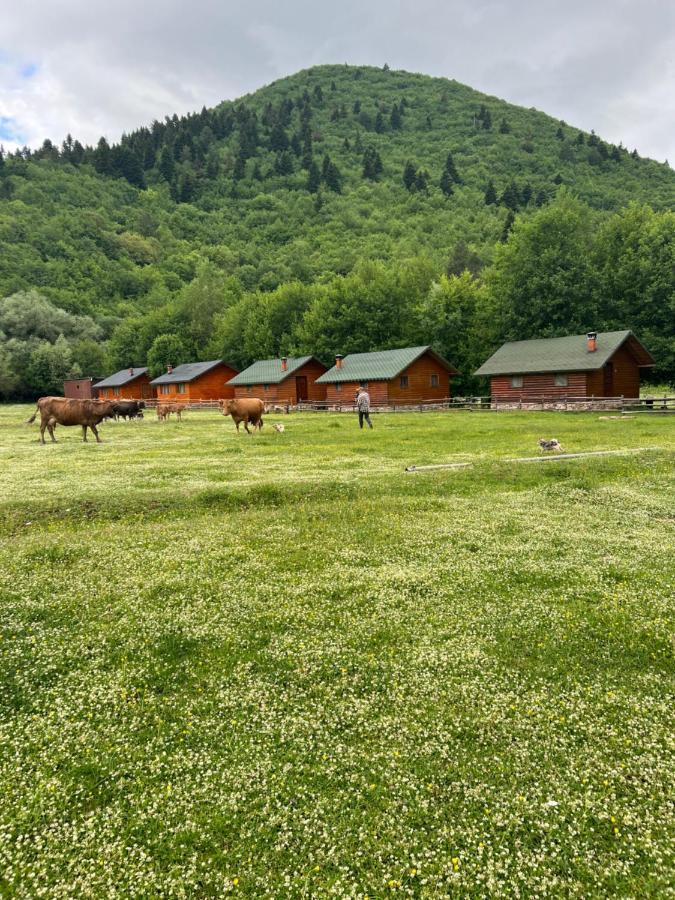 Farma Sotira Otel Leskovik Dış mekan fotoğraf
