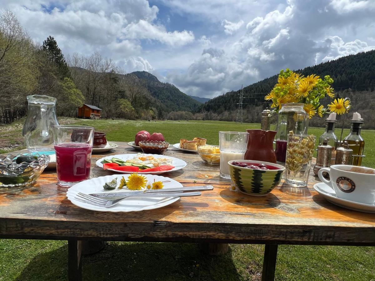 Farma Sotira Otel Leskovik Dış mekan fotoğraf