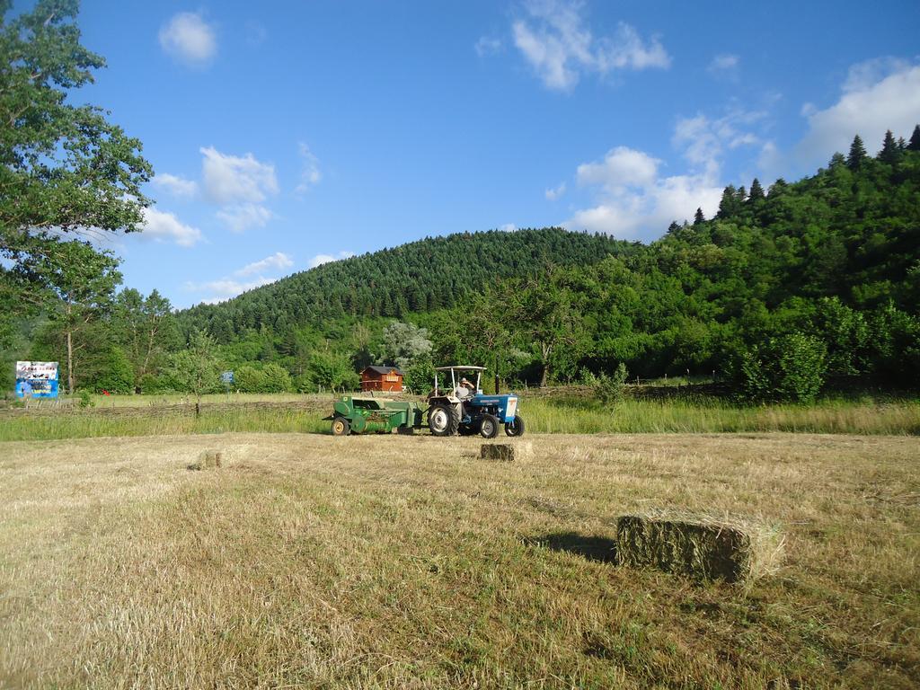 Farma Sotira Otel Leskovik Oda fotoğraf