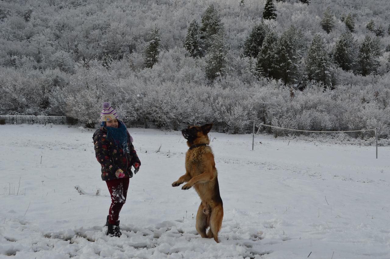 Farma Sotira Otel Leskovik Dış mekan fotoğraf