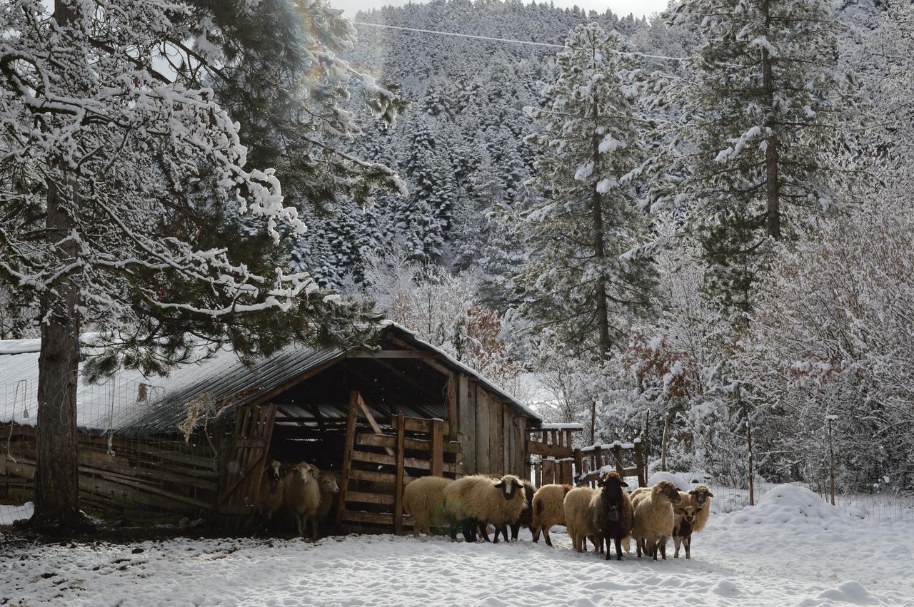 Farma Sotira Otel Leskovik Dış mekan fotoğraf