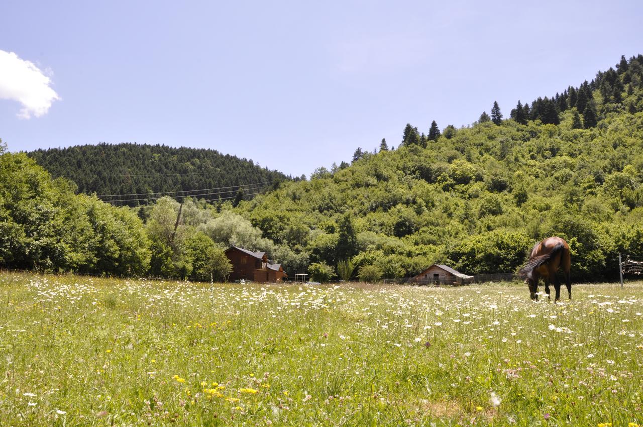 Farma Sotira Otel Leskovik Dış mekan fotoğraf