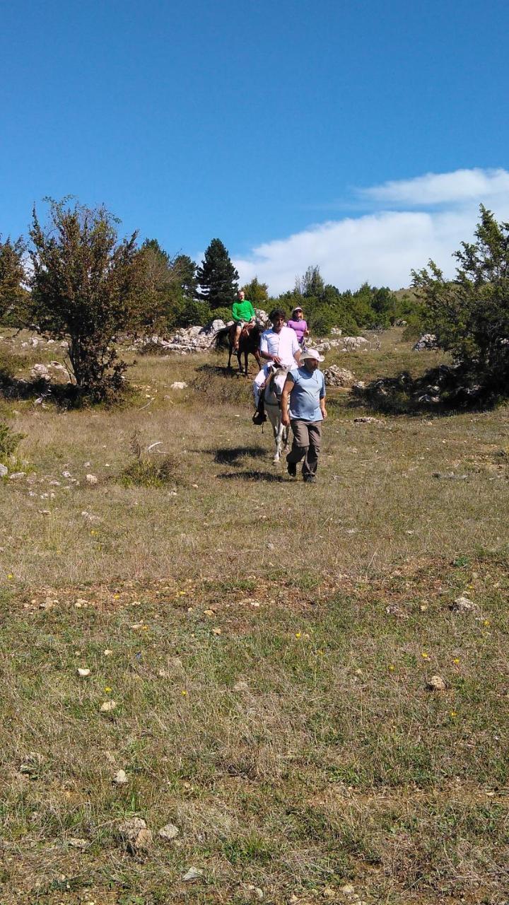 Farma Sotira Otel Leskovik Dış mekan fotoğraf