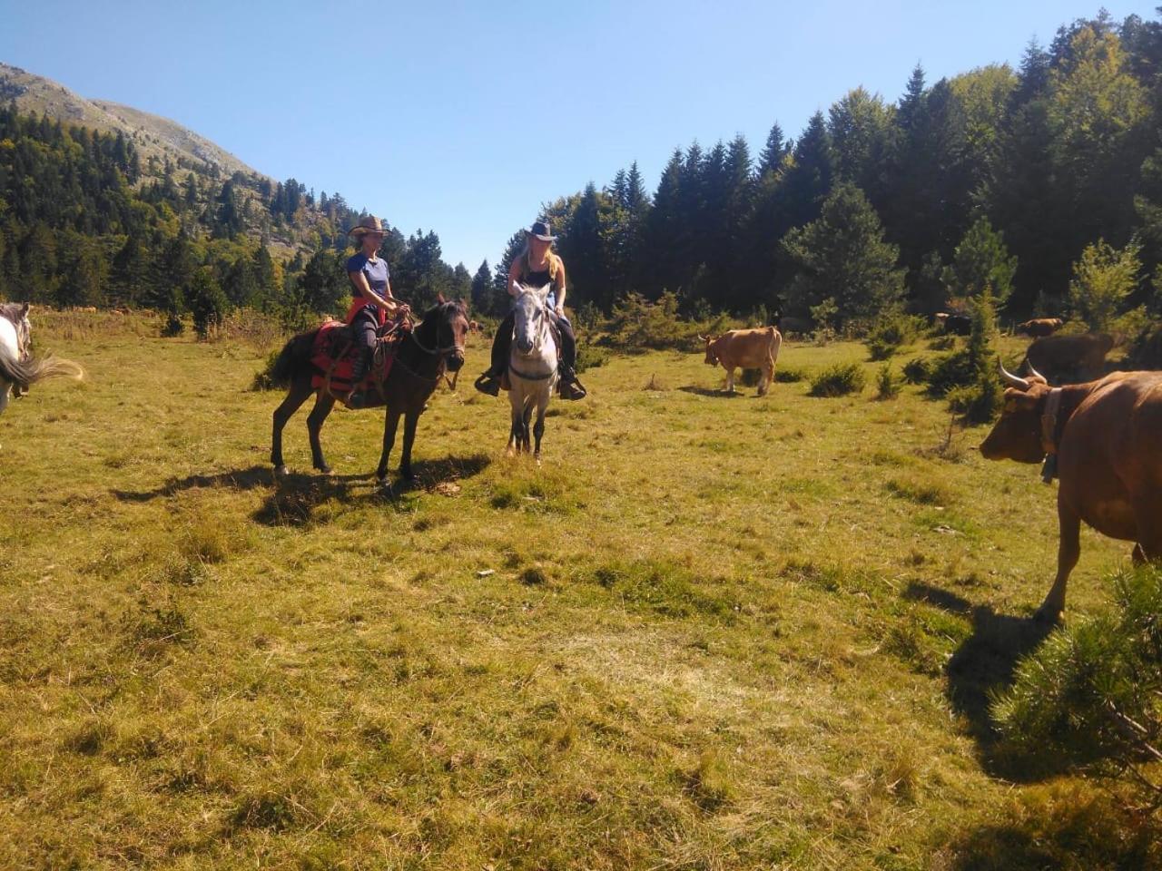 Farma Sotira Otel Leskovik Dış mekan fotoğraf
